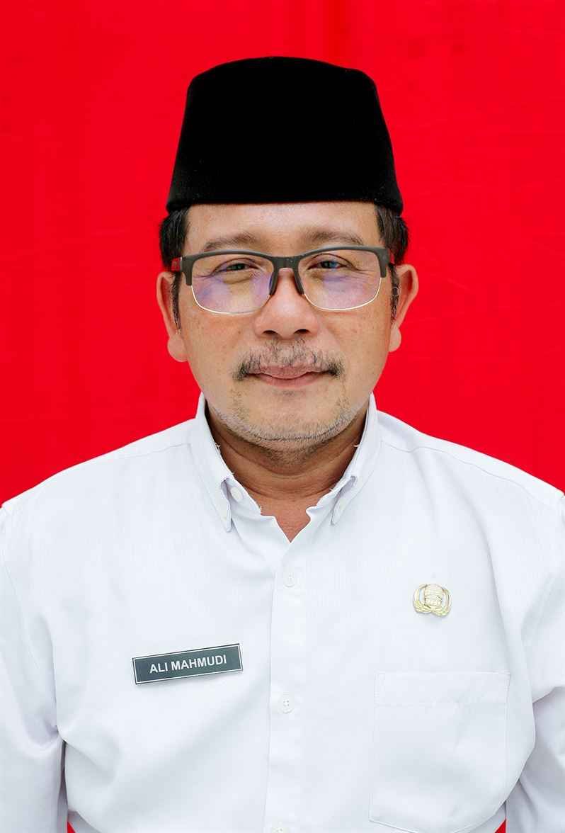 Ali Mahmudi, S.Pd