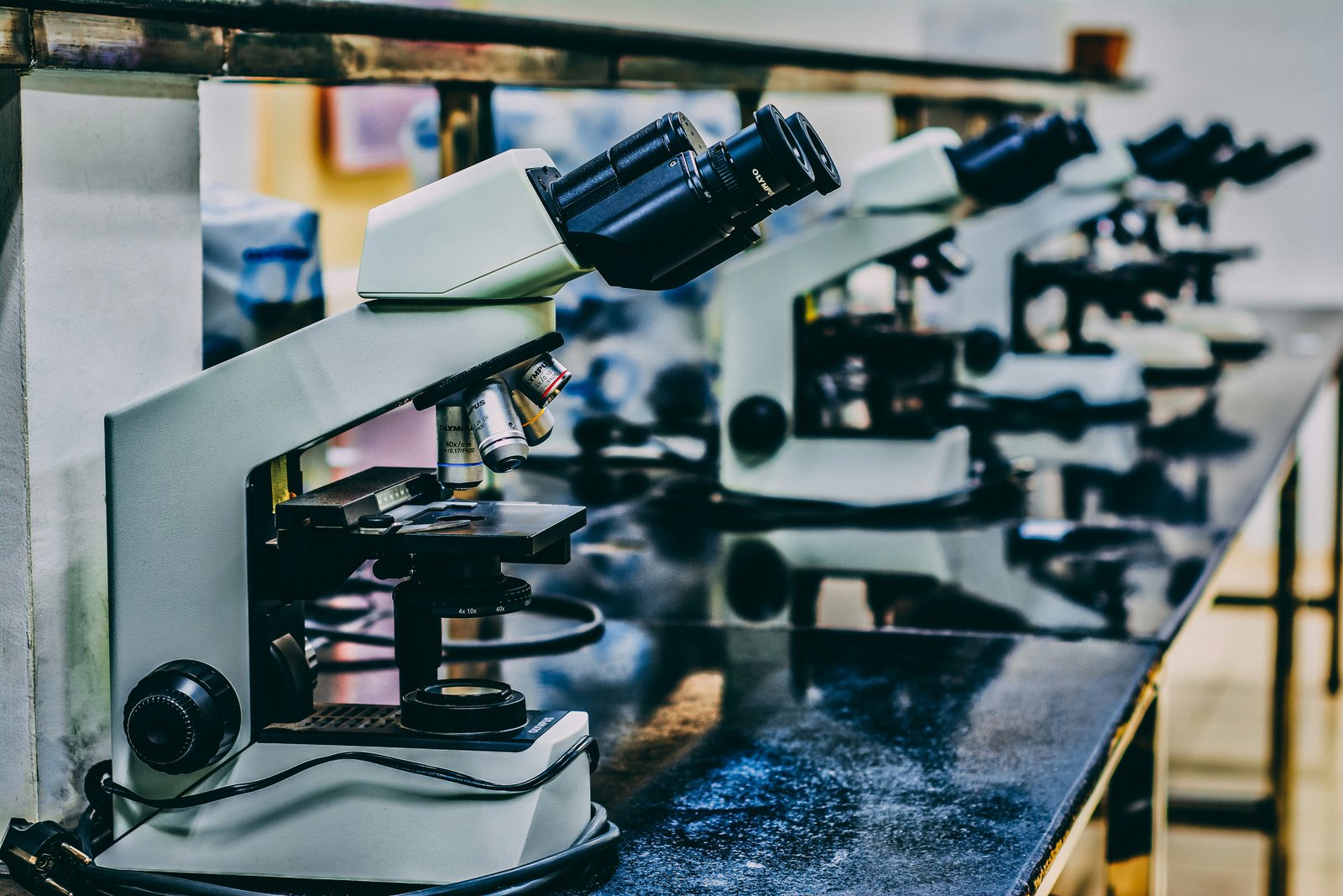 lab